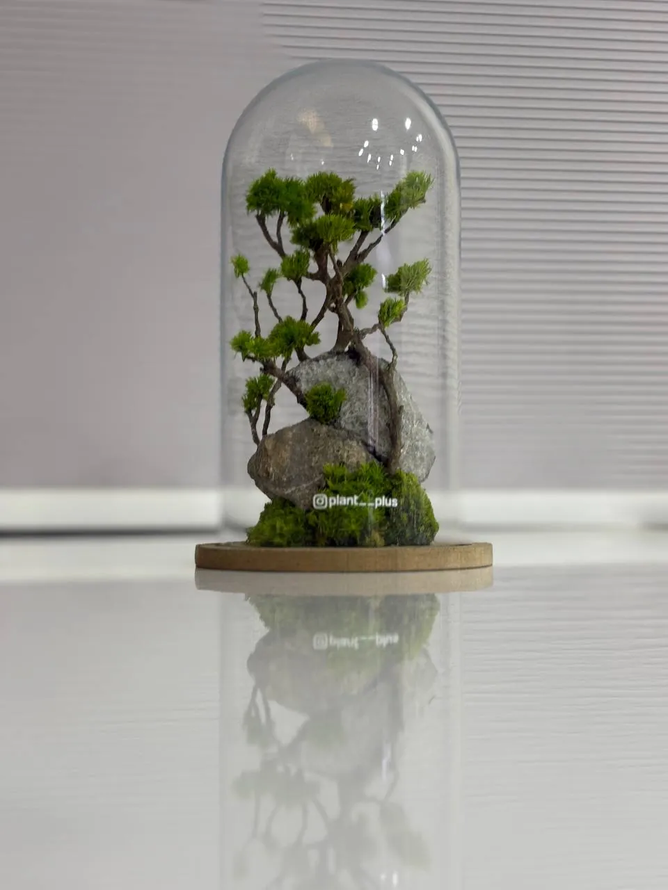 تراریوم - تصویر 2